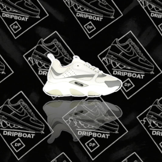 DIOR B22 WHITE